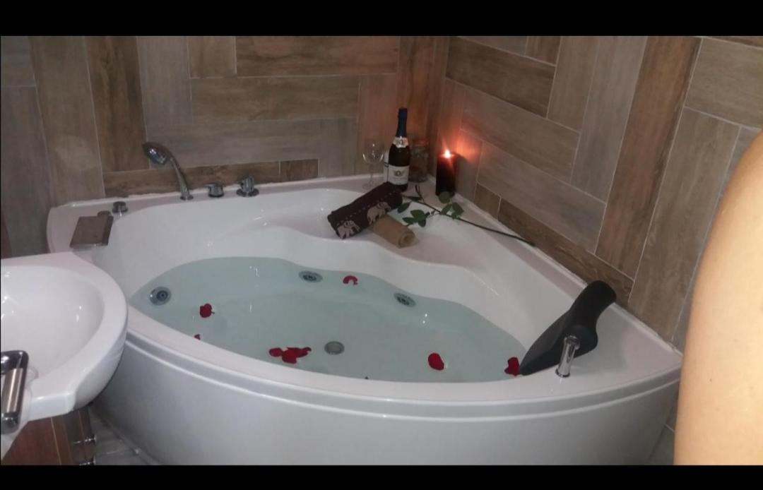 Marina Jacuzzi Apartment Free Parking Nowy Sad Zewnętrze zdjęcie