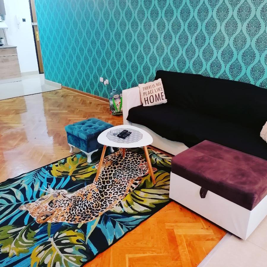 Marina Jacuzzi Apartment Free Parking Nowy Sad Zewnętrze zdjęcie