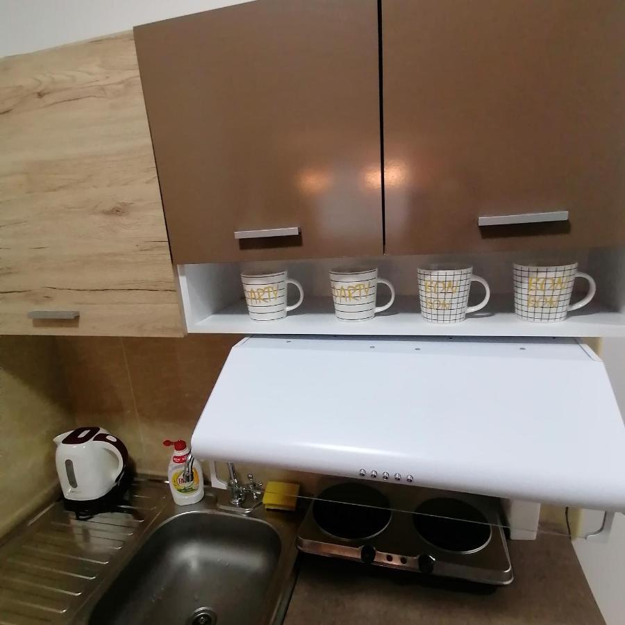 Marina Jacuzzi Apartment Free Parking Nowy Sad Zewnętrze zdjęcie