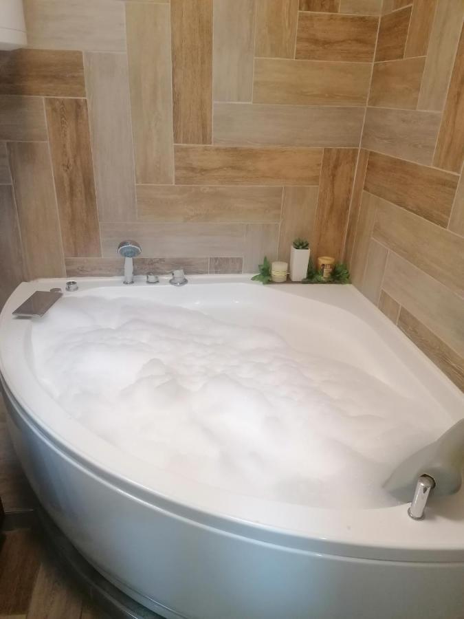 Marina Jacuzzi Apartment Free Parking Nowy Sad Zewnętrze zdjęcie